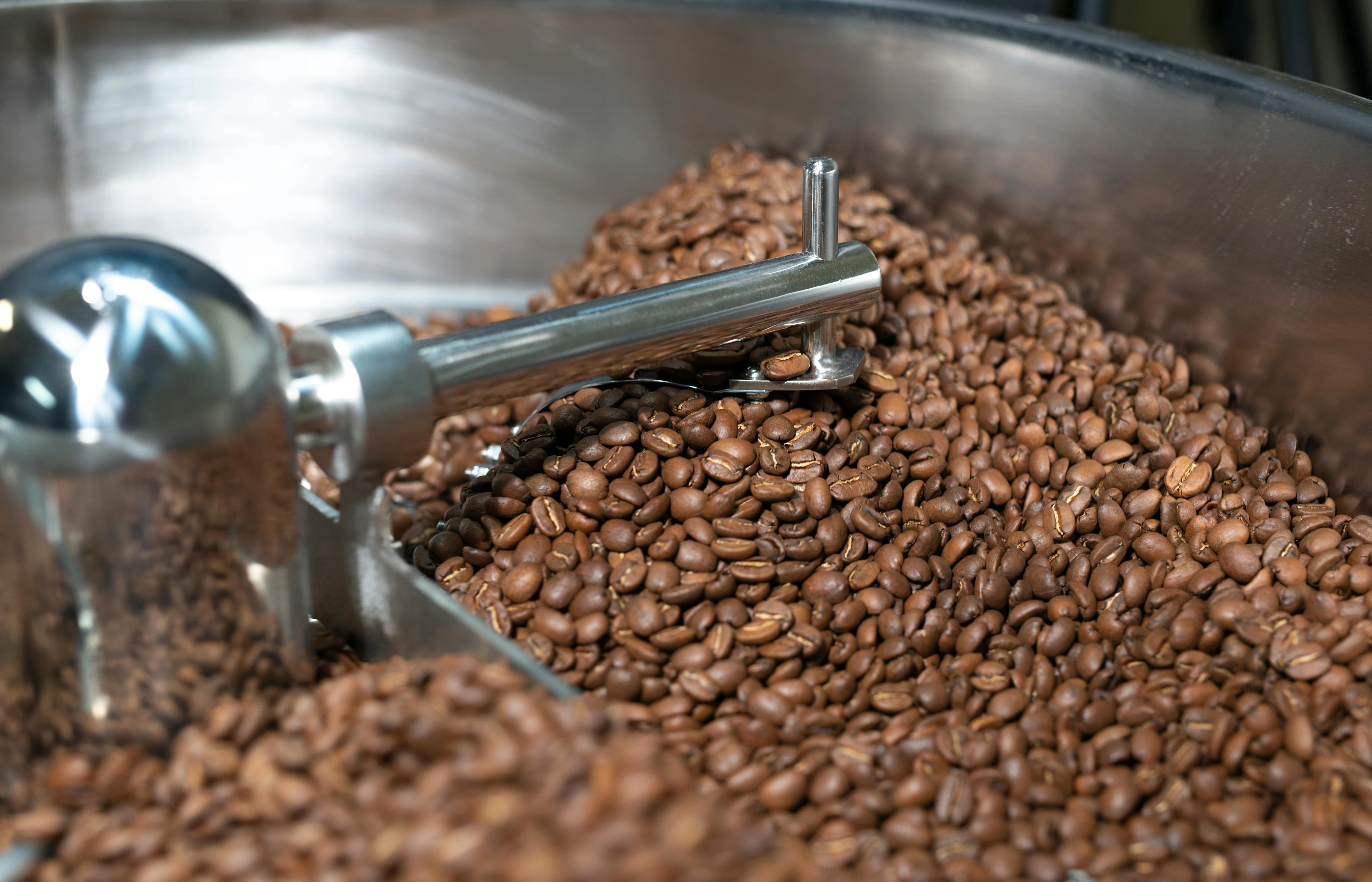 Honduras El Jardin Sub-Murged Dark Room