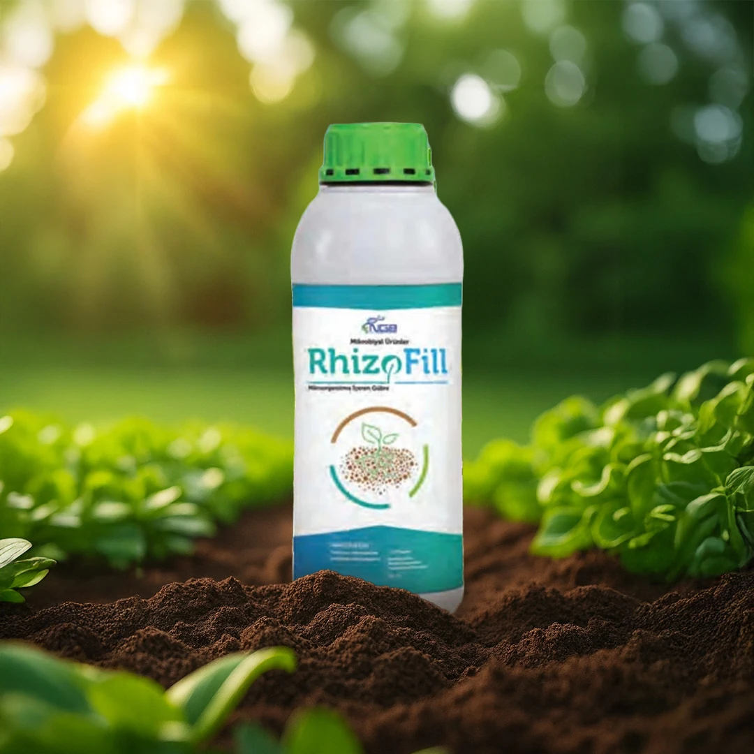 RHİZOFİLL