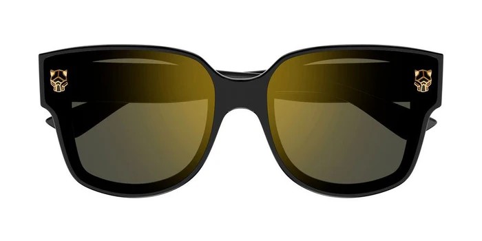 Cartier CT0357S