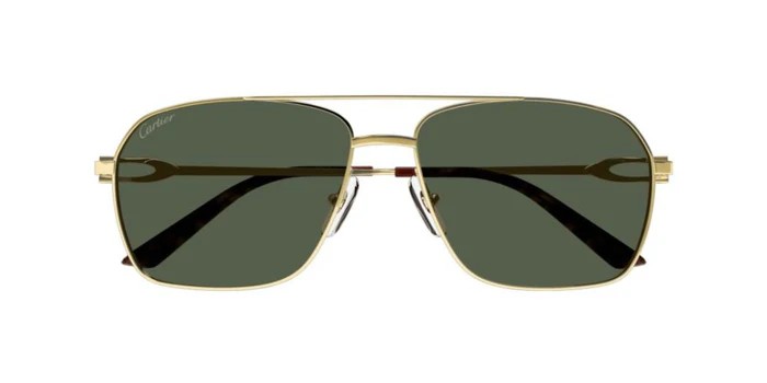 Cartier CT0306S