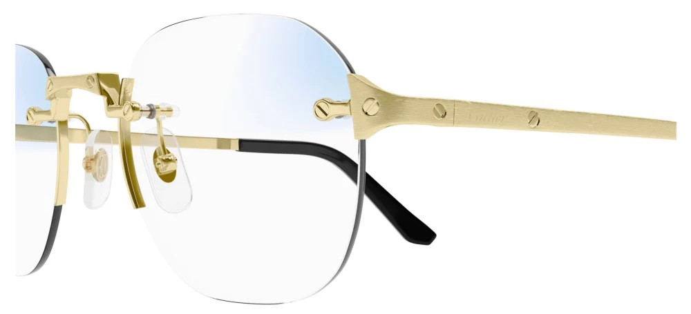 Cartier CT0478S