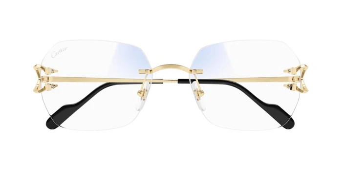 Cartier CT0416S