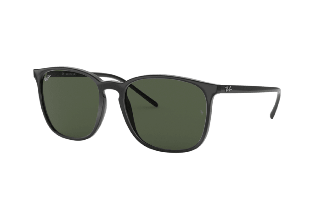  Ray-Ban RB 4387