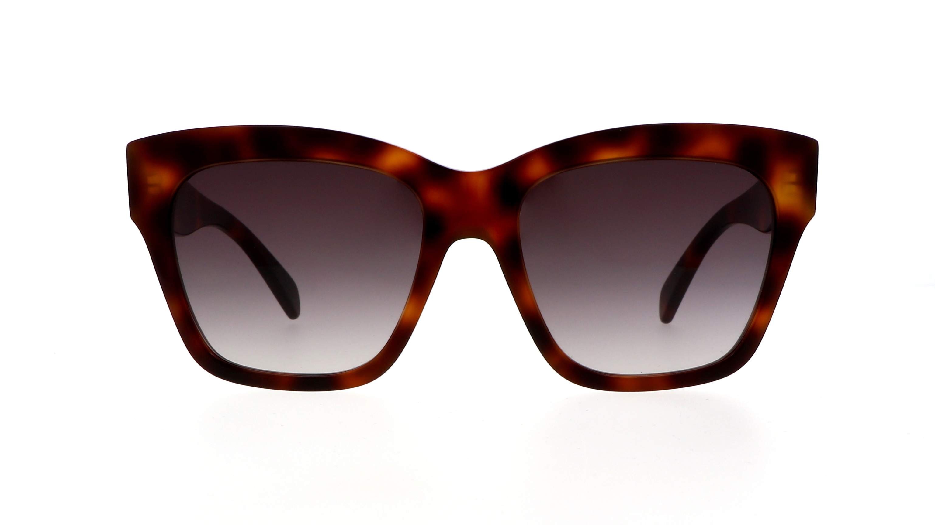 CELINE Triomphe 09 CL40253I