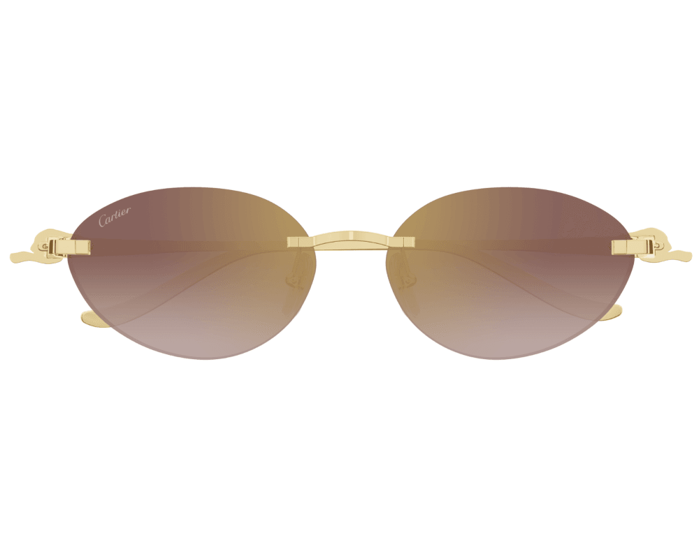 Cartier CT0504S