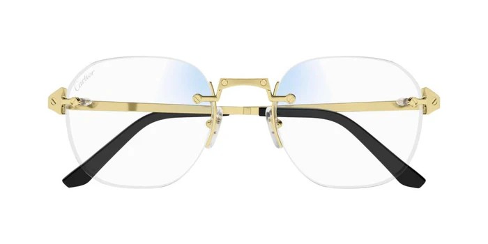 Cartier CT0478S