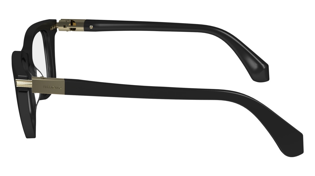 Salvatore Ferragamo SF2973