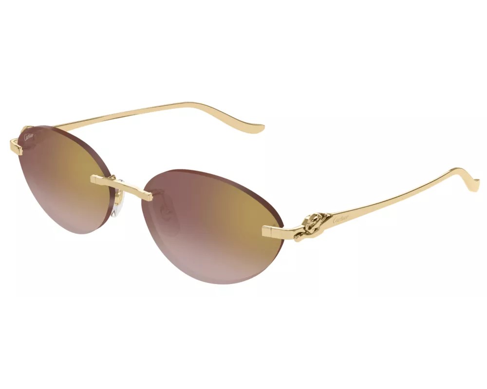 Cartier CT0504S