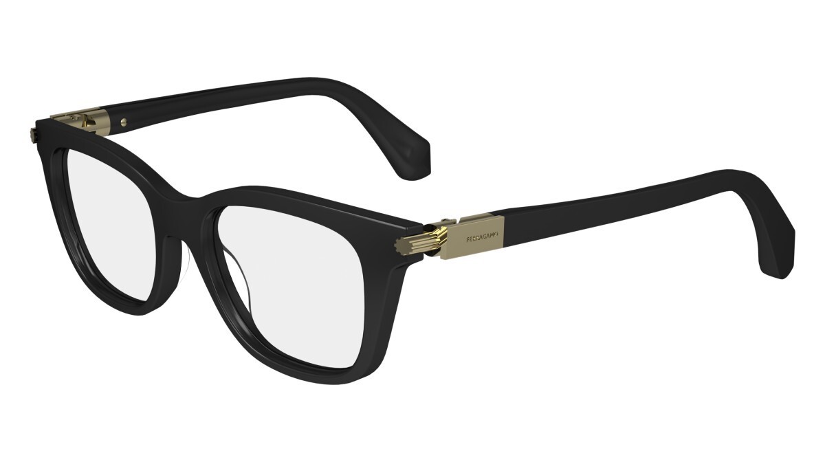 Salvatore Ferragamo SF2973