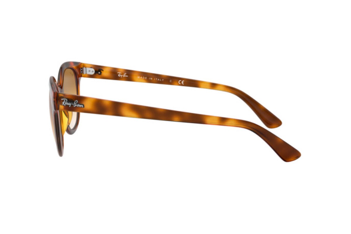  Ray-Ban RB 4324