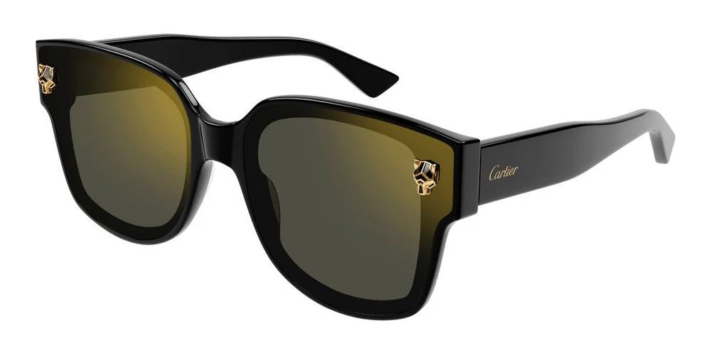 Cartier CT0357S