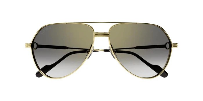 Cartier CT0303S