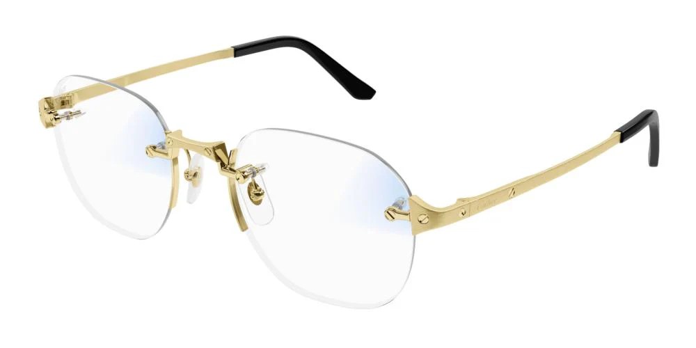 Cartier CT0478S
