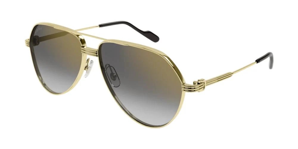 Cartier CT0303S