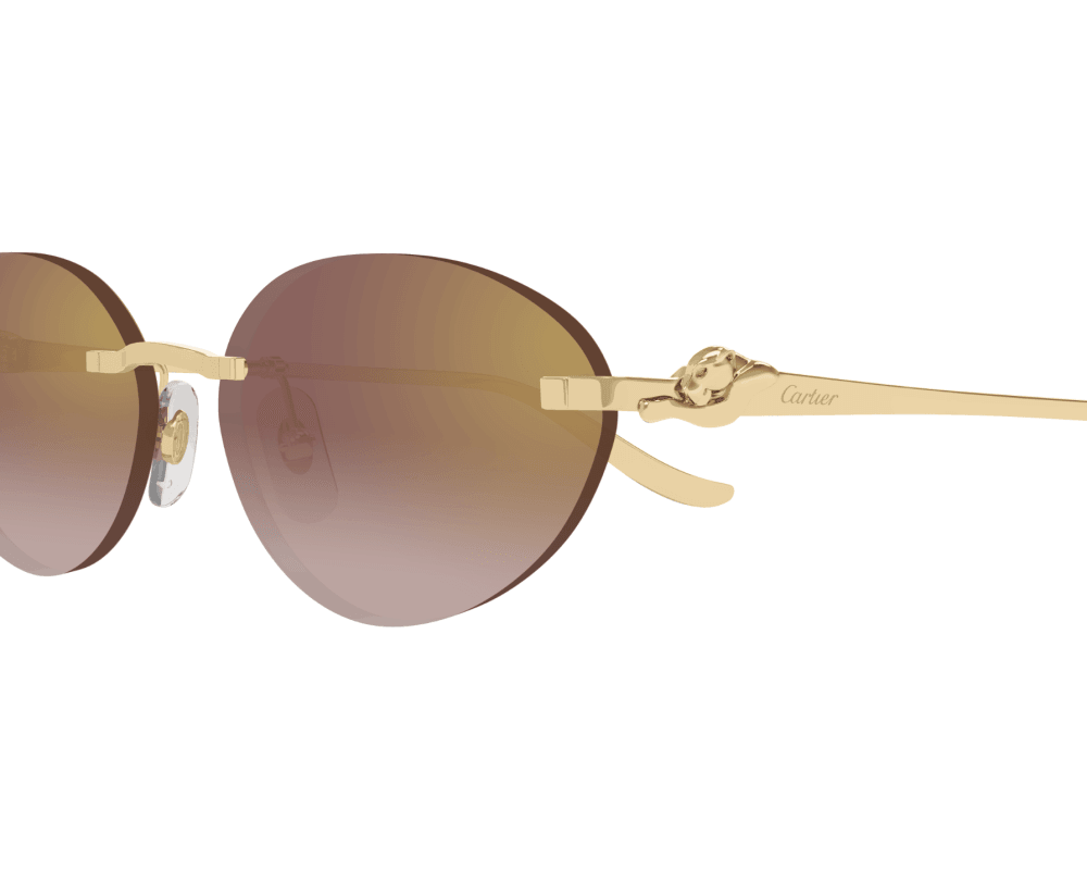 Cartier CT0504S