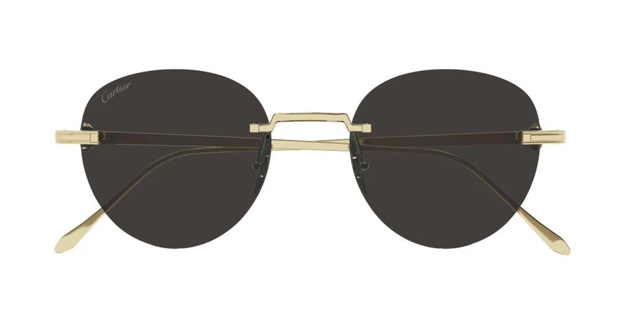 Cartier CT0331S