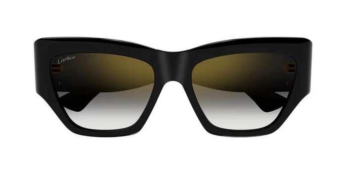 Cartier CT0435S