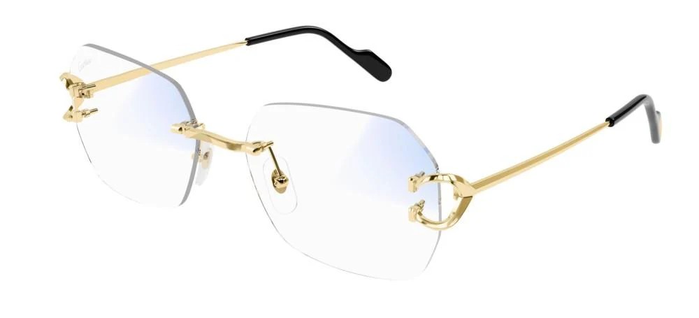 Cartier CT0416S
