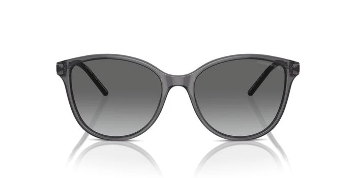 Emporio Armani EA 4220