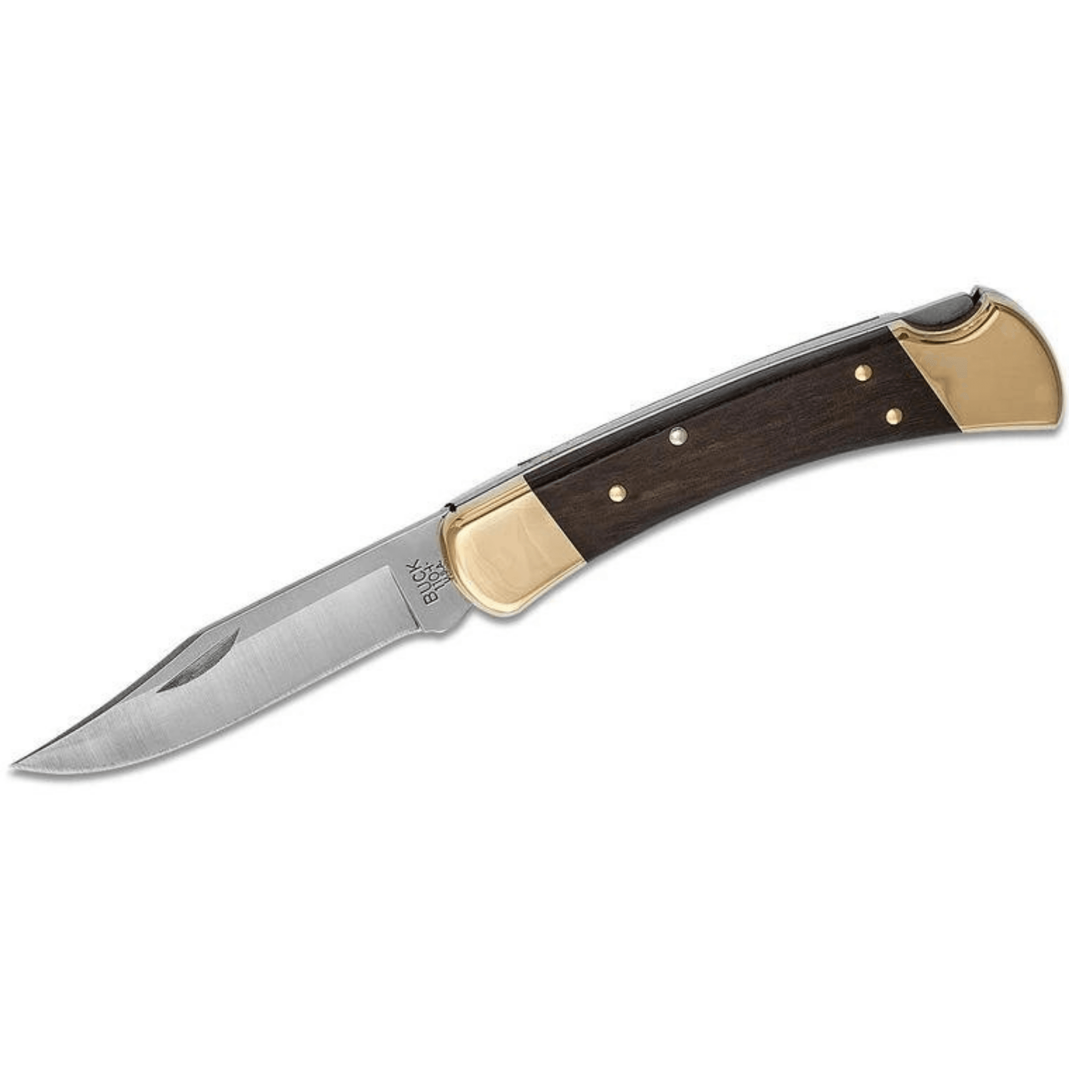 Buck 110 Folding Hunter® Çakı