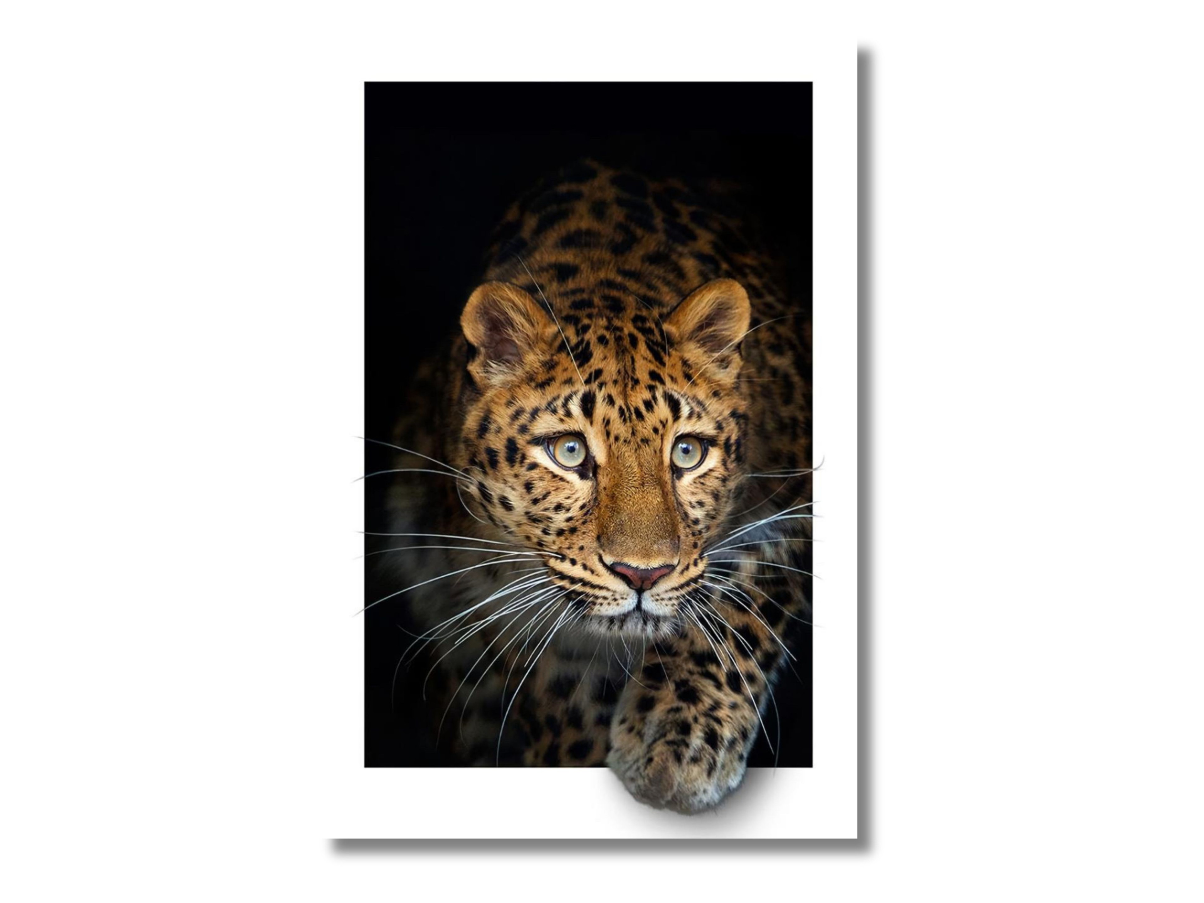 Leopar Cam Tablo #PCT0980