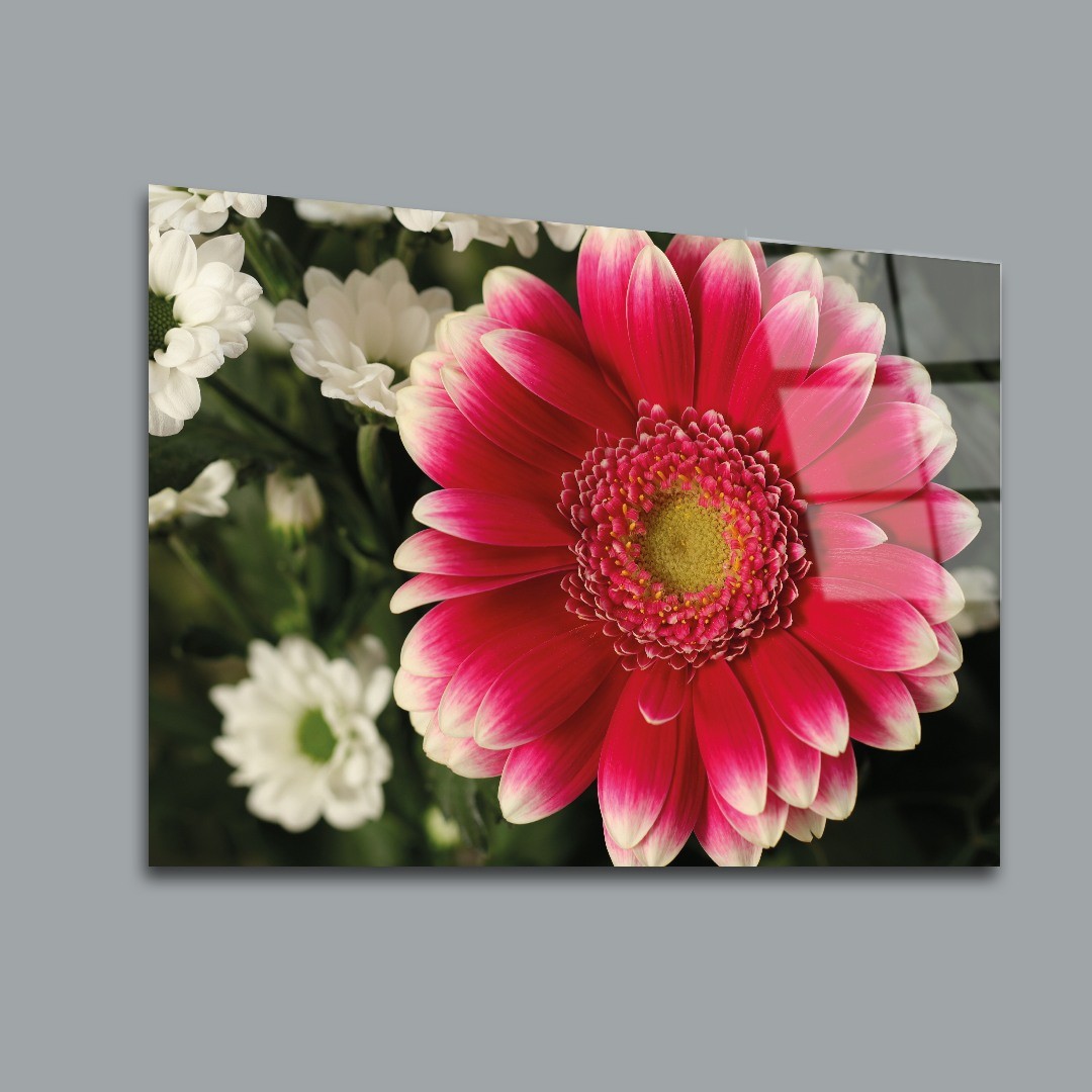 Papatya Çiçek Cam Tablo #PCT0115