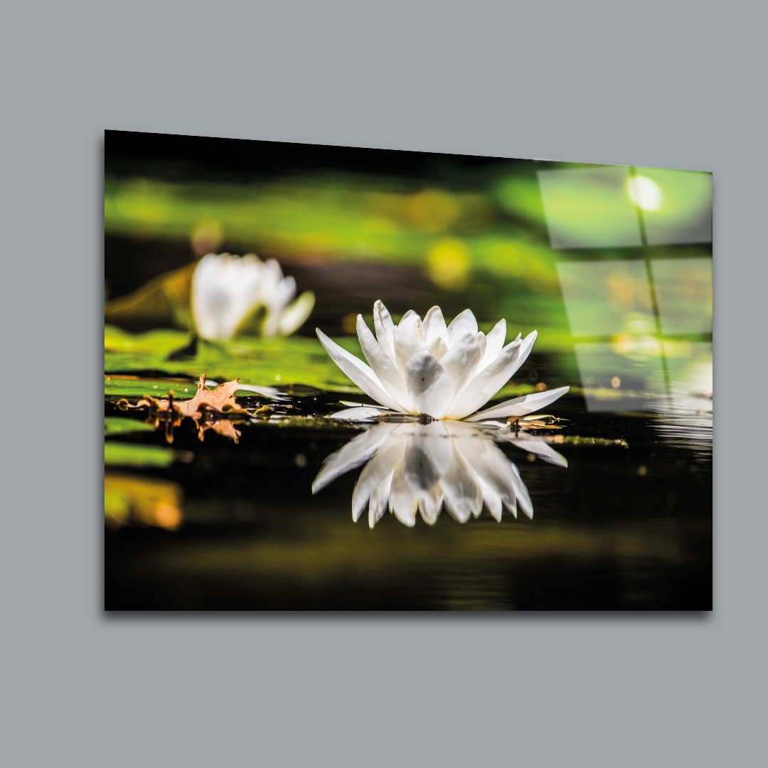 Nilüfer Çiçek Cam Tablo #PCT0138