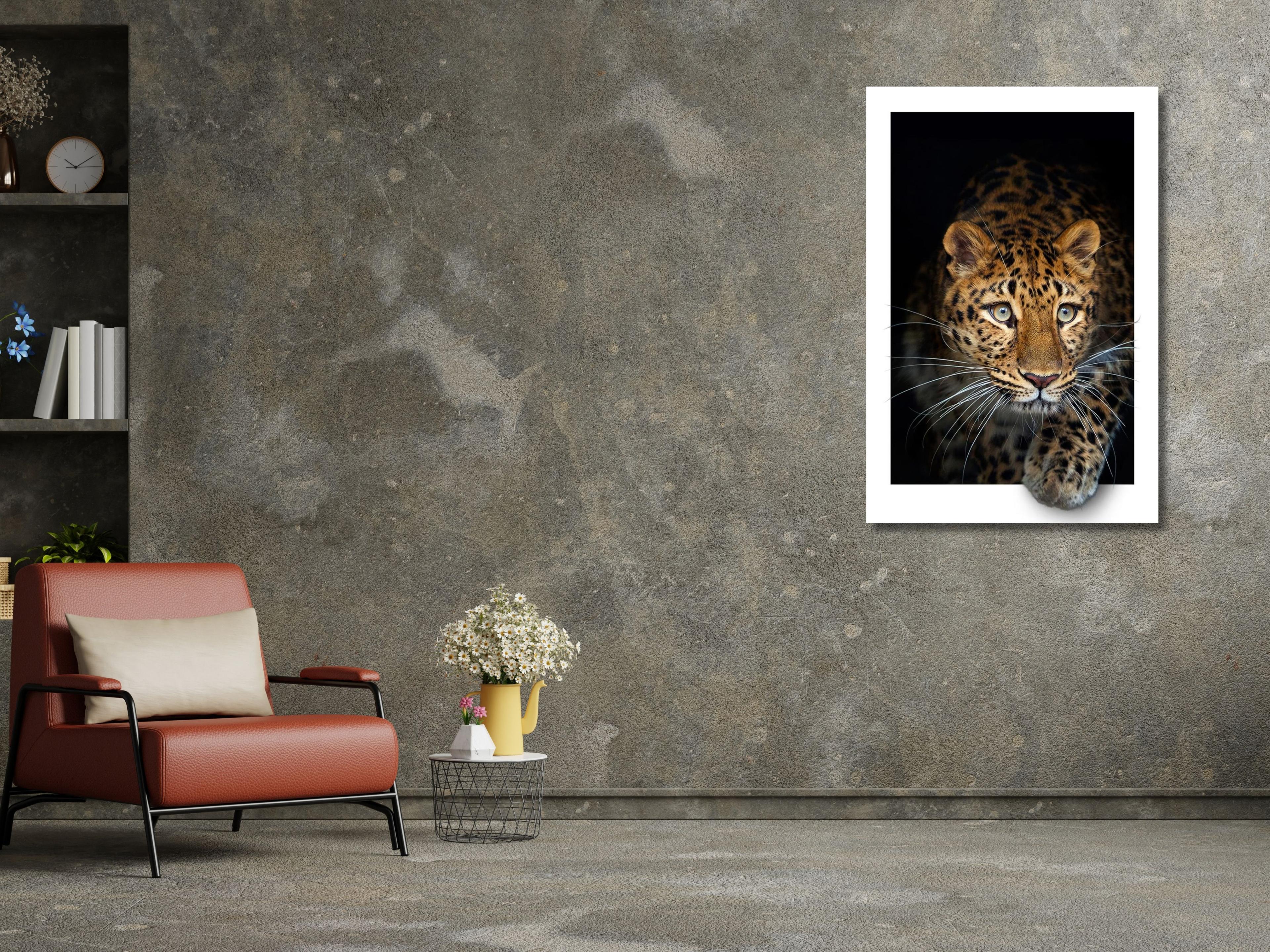 Leopar Cam Tablo #PCT0980
