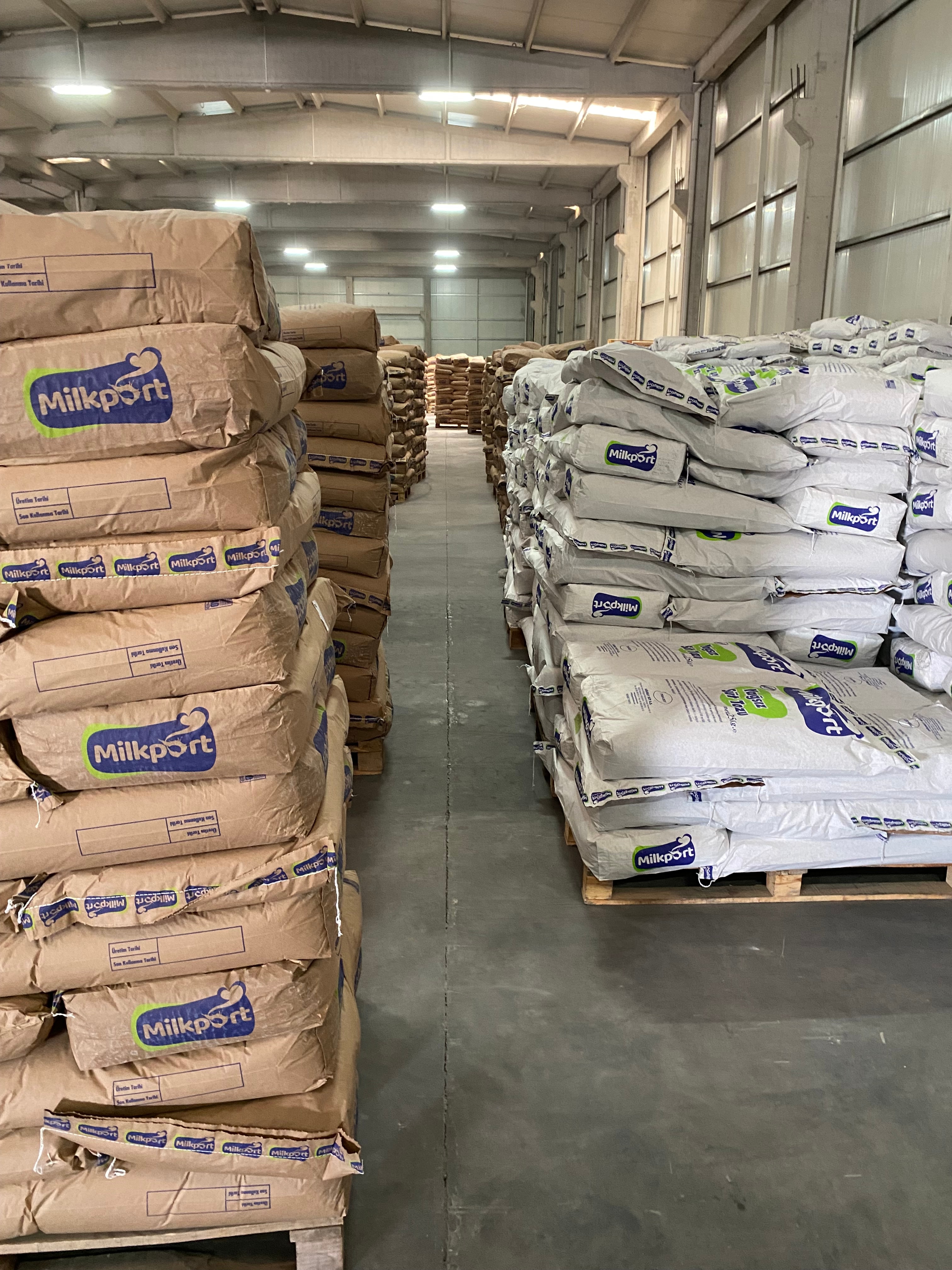 Peynir Altı Suyu Tozu %9 Protein