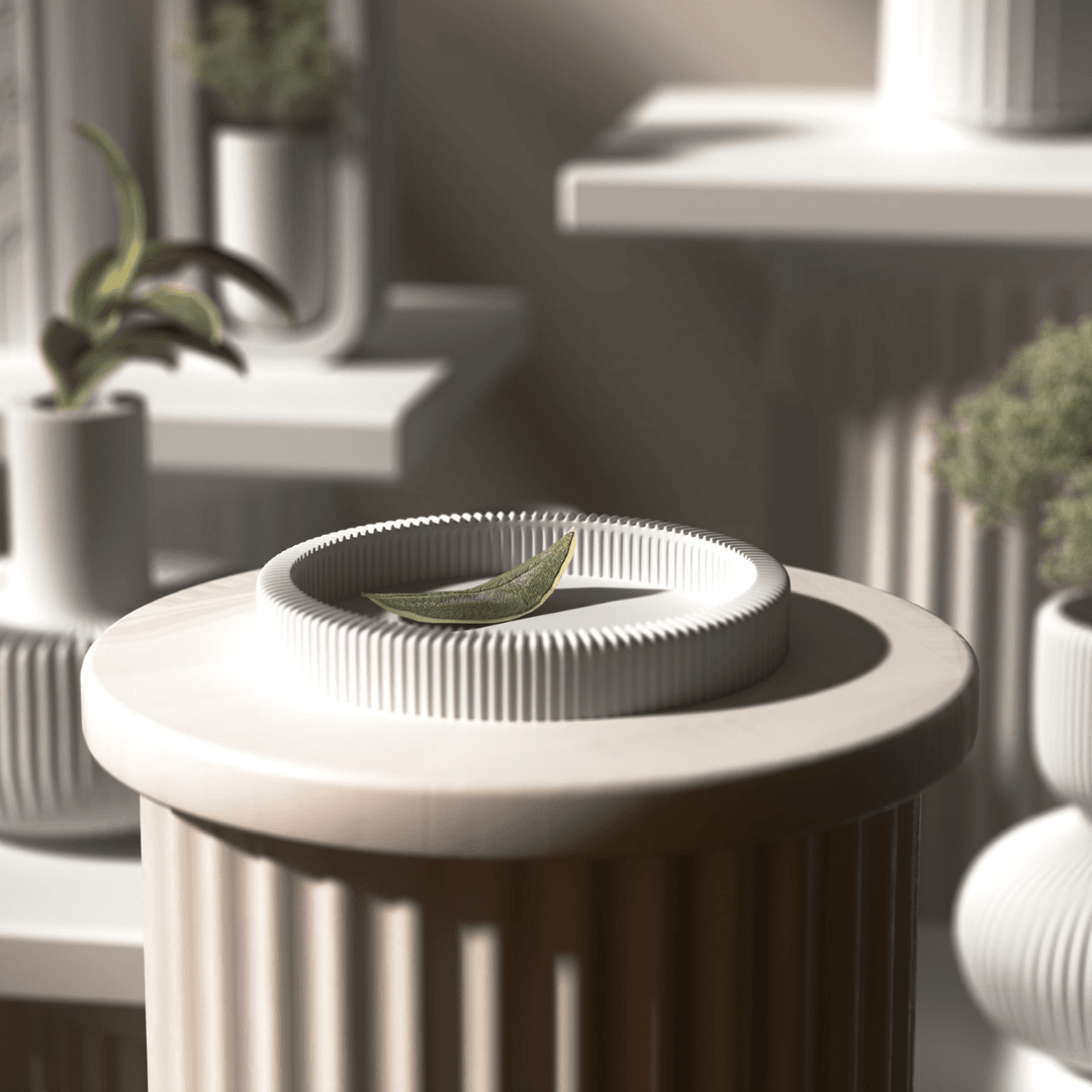 Zen Halo Tepsi