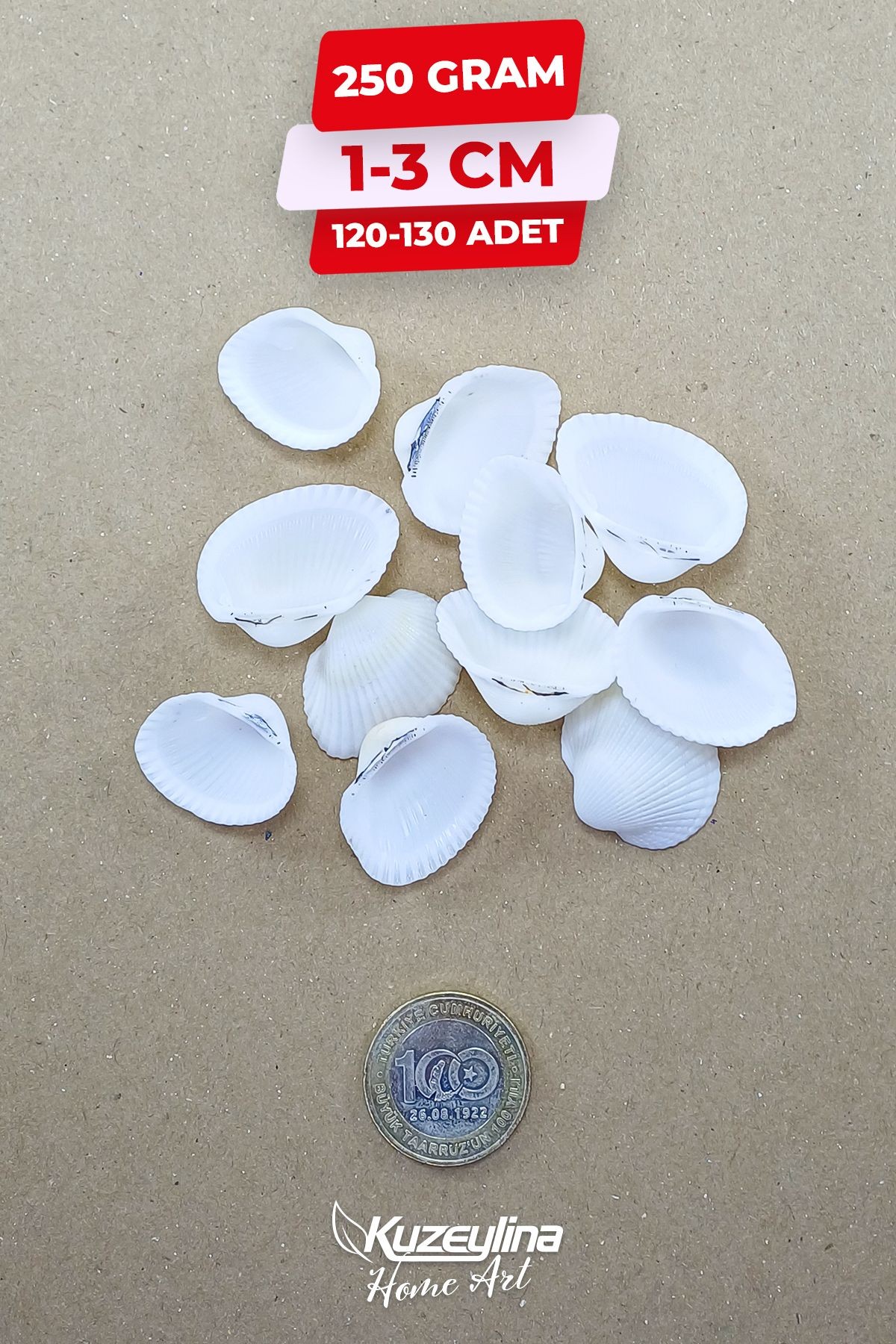 Doğal Deniz Kabuğu 250 Gram 1-3 Cm