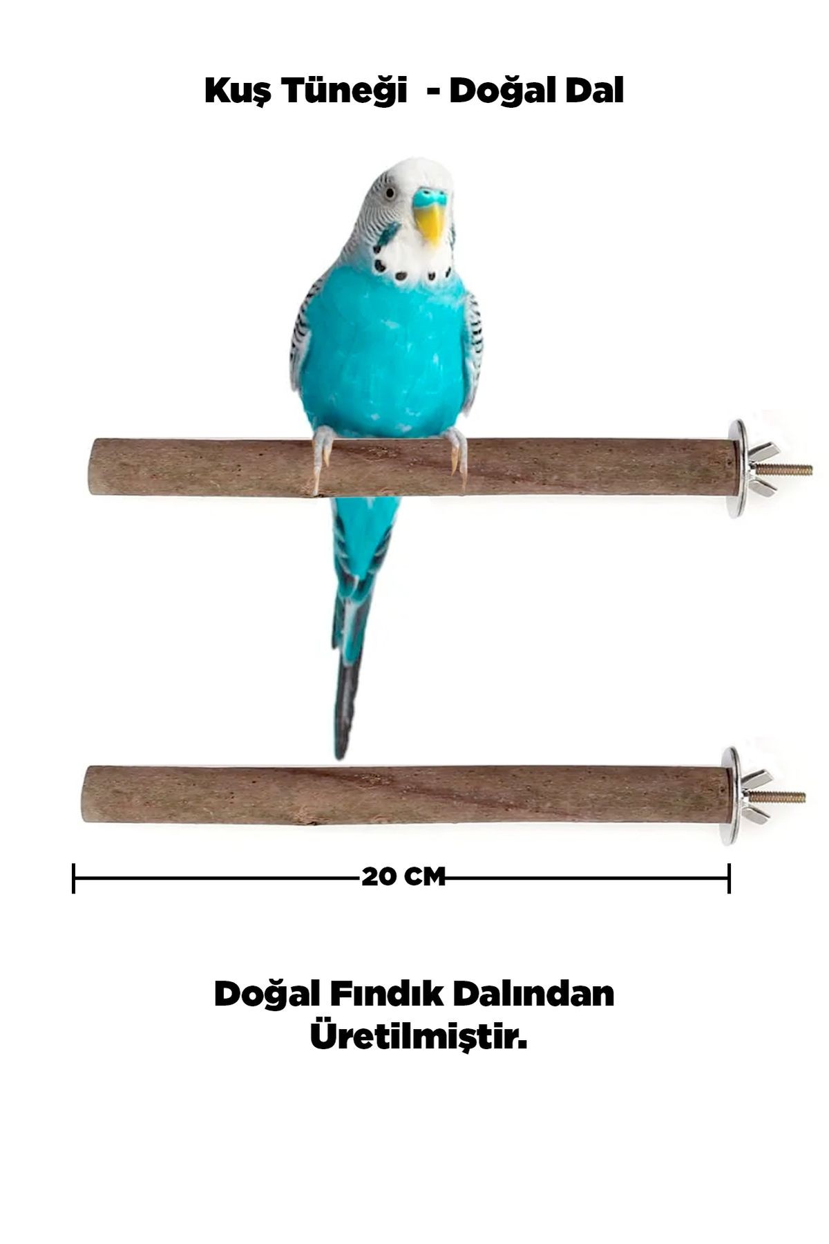 Doğal Ahşap Kuş Tüneği 20 Cm - Gerçek Fındık Dalı