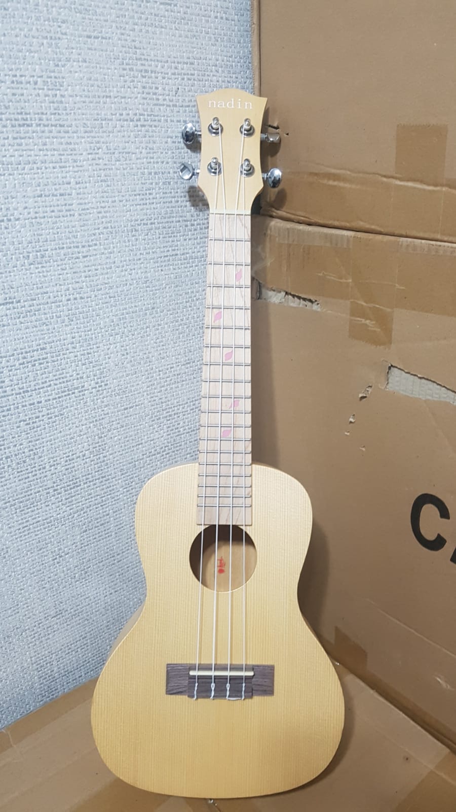 Carissa Uk-23 Ukulele görünüm