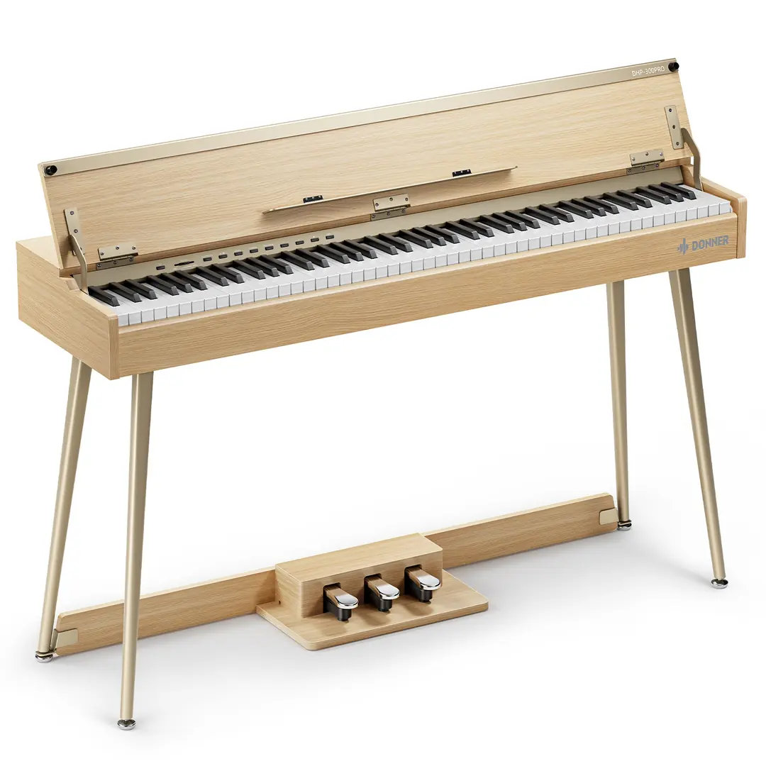 Donner DHP-300 Pro arka panel bağlantıları USB MIDI