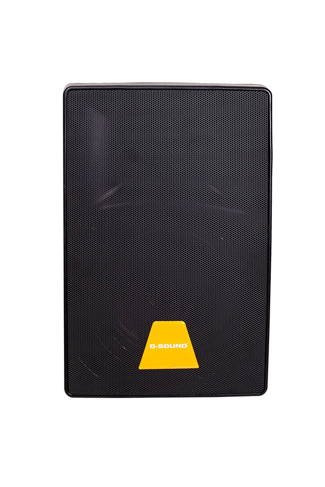 D-Sound Max-06Pa Taşınabilir Şarjlı Hoparlör görünüm