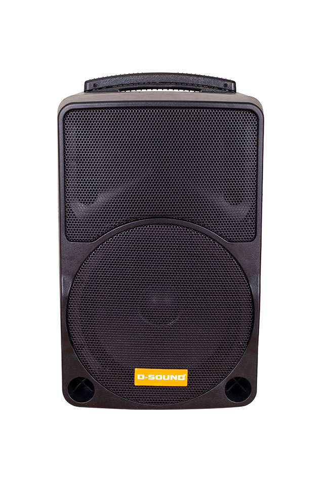 D-Sound Max-10Pa Taşınabilir Şarjlı Hoparlör detay
