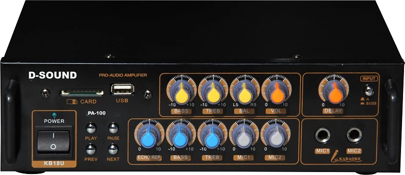 D-Sound Pa-100 Mixer Amplifier