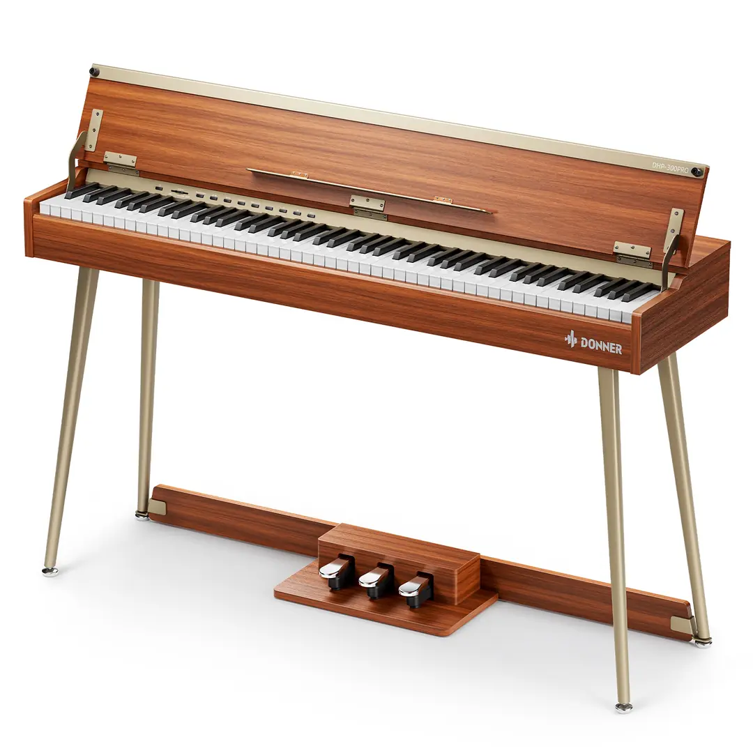 Donner DHP-300 Pro DSP efektleri reverb chorus dual split