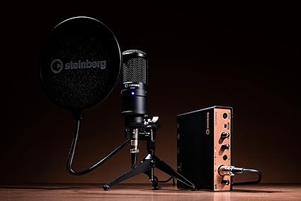 Steinberg UR12 Podcast Starter Pack Kayıt Paketi görünüm