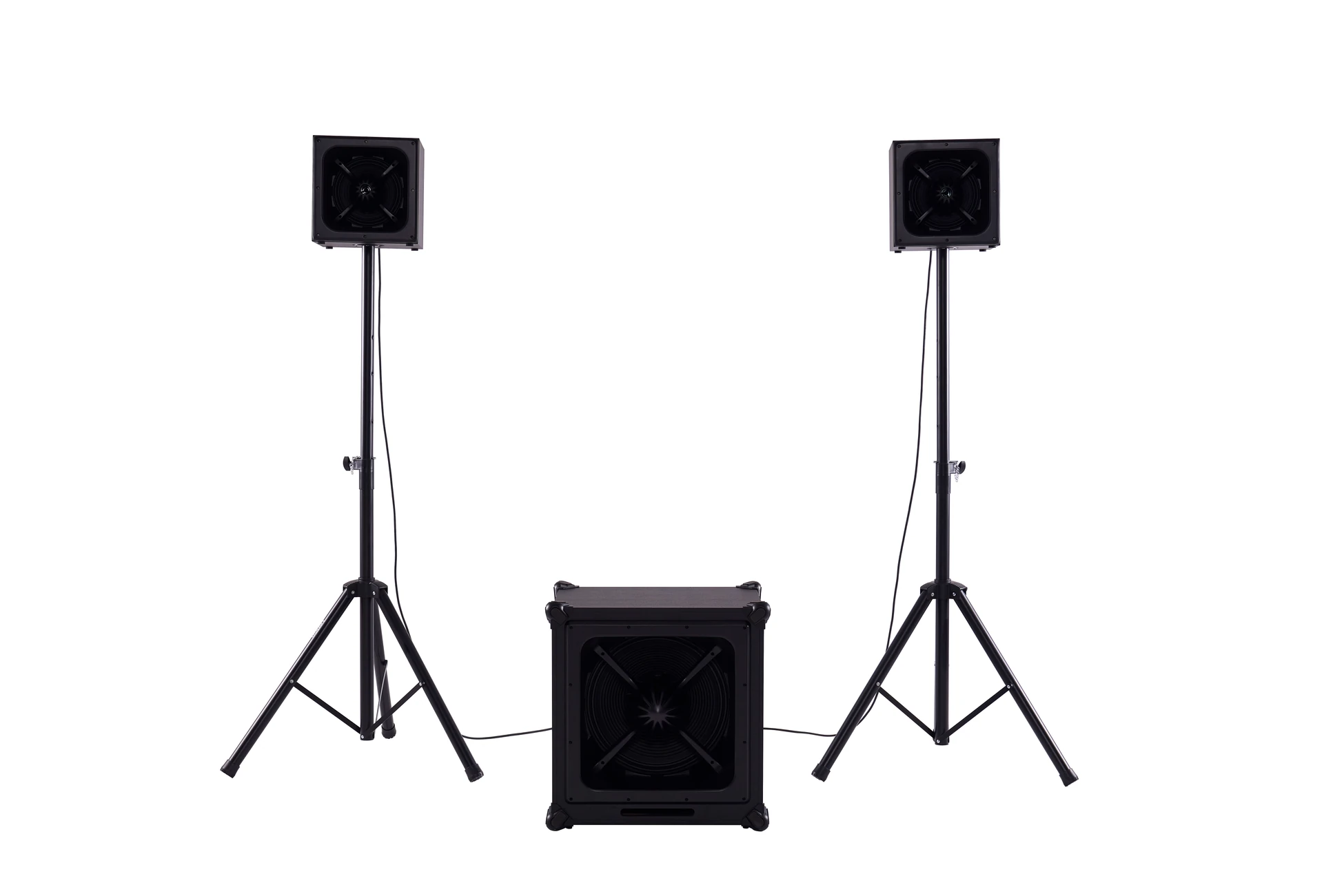 DSound ARY-1528 Subbass Hoparlör Seti