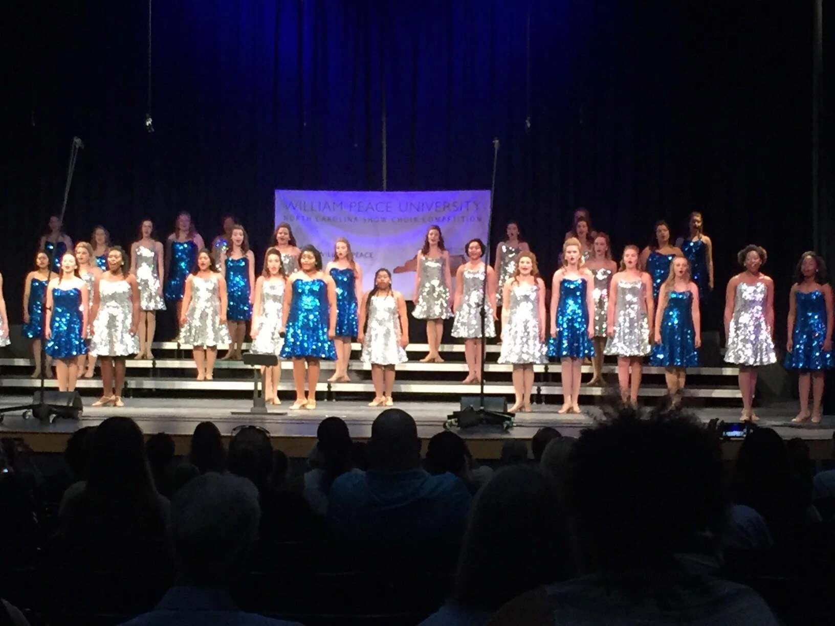 D Sound Ds-320E Okul Konferans  Koro Tiyatro  Mikrofonu detay