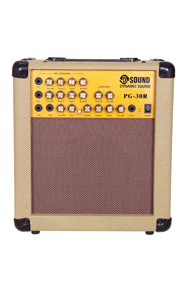 D-Sound Pg-30R Enstruman Amfisi görünüm