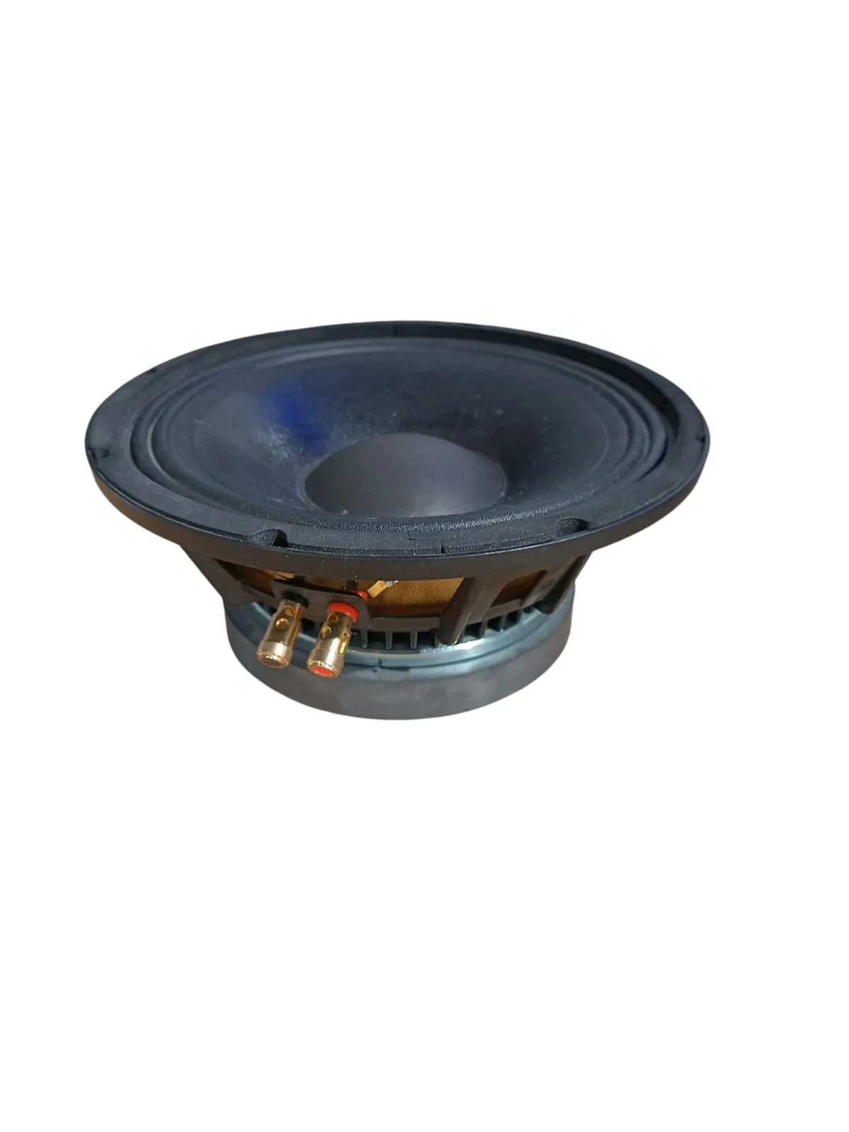 Bofmann BF LS250 10 İnç 850 Watt Alüminyum Kasalı Çıplak Hoparlör