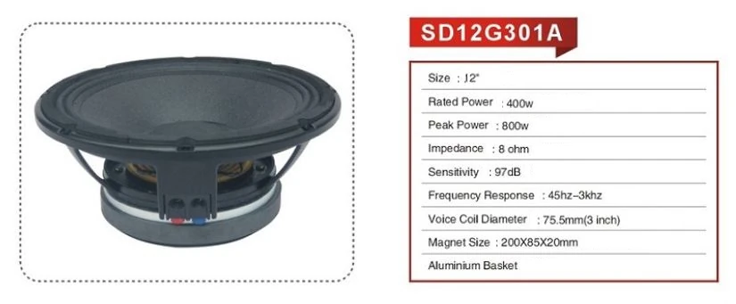 D-Sound 12G301 12 Hoparlör