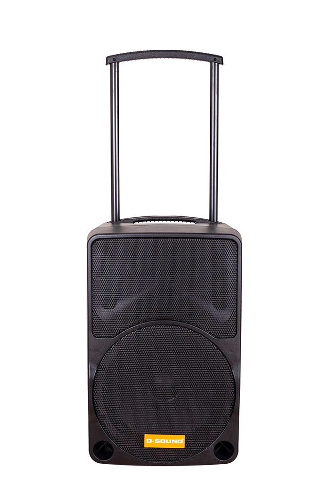 D-Sound Max-10Pa Taşınabilir Şarjlı Hoparlör görünüm