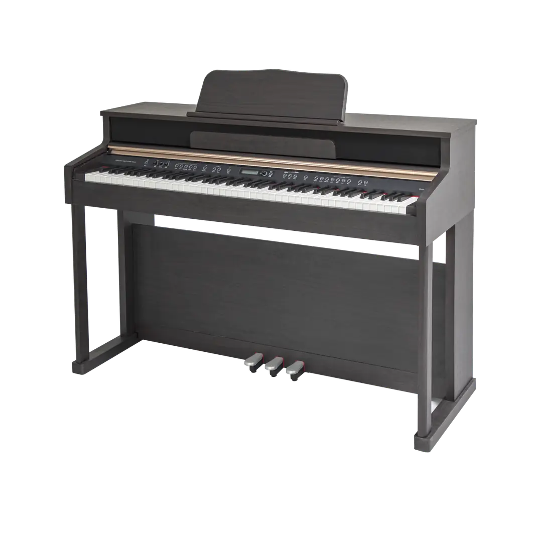 Müller D-1 French Dream ses işlemcisi ve kontrol paneli