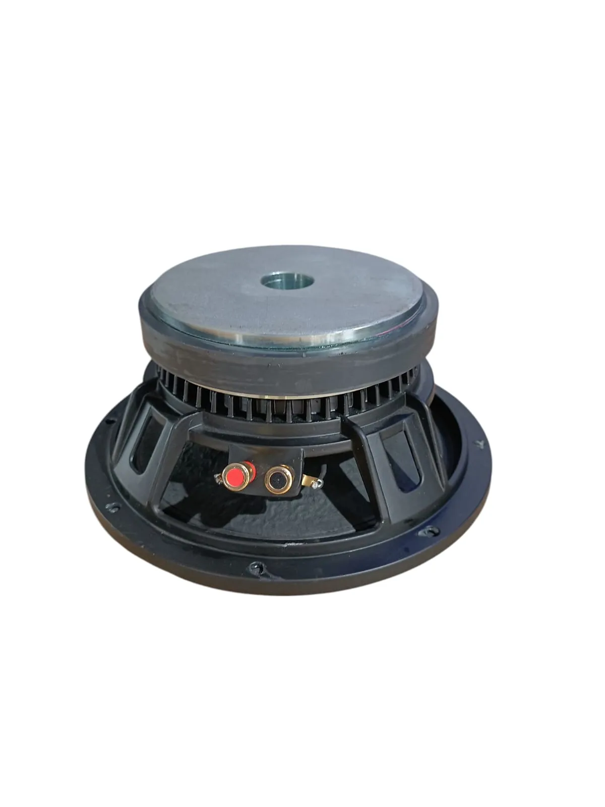 Bofmann BF LS250 10 İnç 850 Watt Alüminyum Kasalı Çıplak Hoparlör Detay