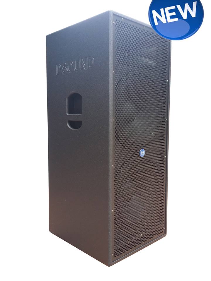 D-Sound Drx-215Pro 1000X2 Watt