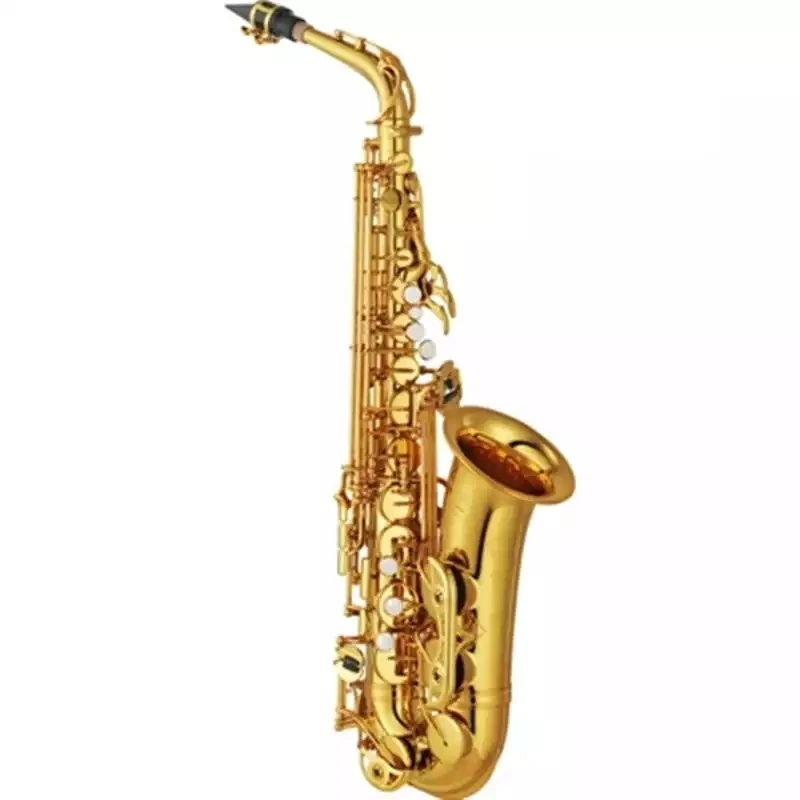 Müller Mas-1001 Alto Saxophone detay