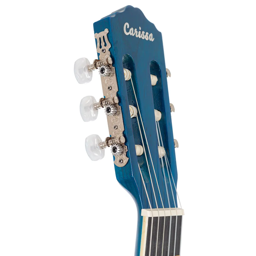 Carissa CG-160 Rosewood Klavye Gülağacı Tuşe Öğrenci Gitarı